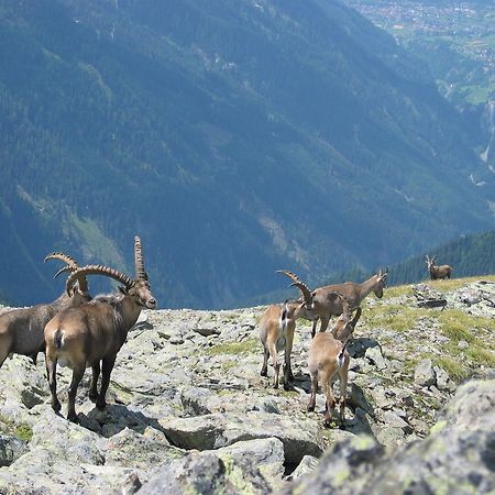 Apart Gletscherblick Kaunertal Exteriör bild