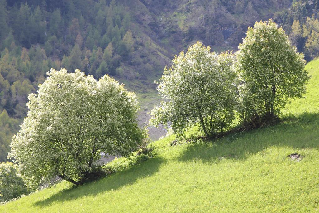Apart Gletscherblick Kaunertal Exteriör bild