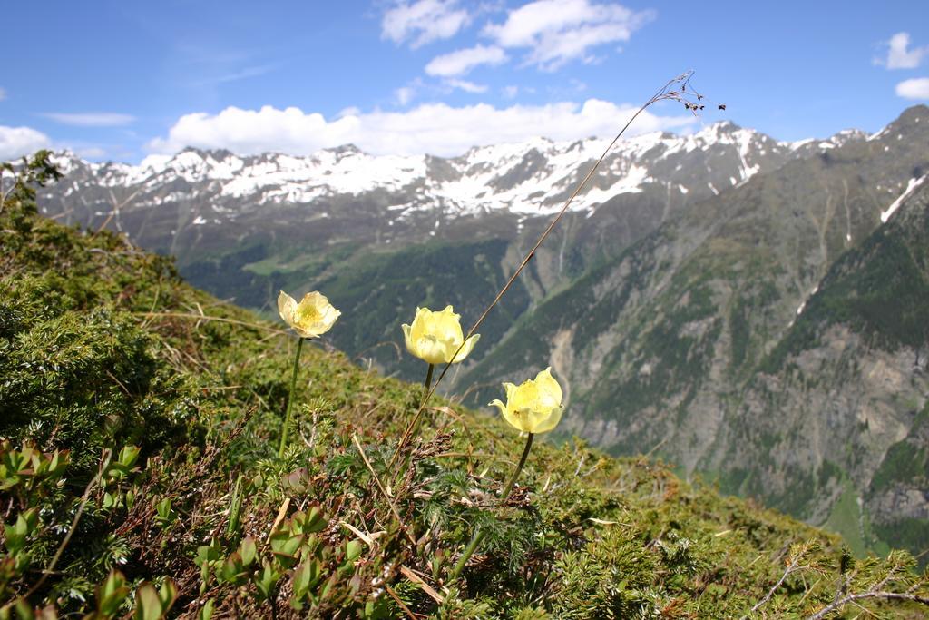Apart Gletscherblick Kaunertal Exteriör bild