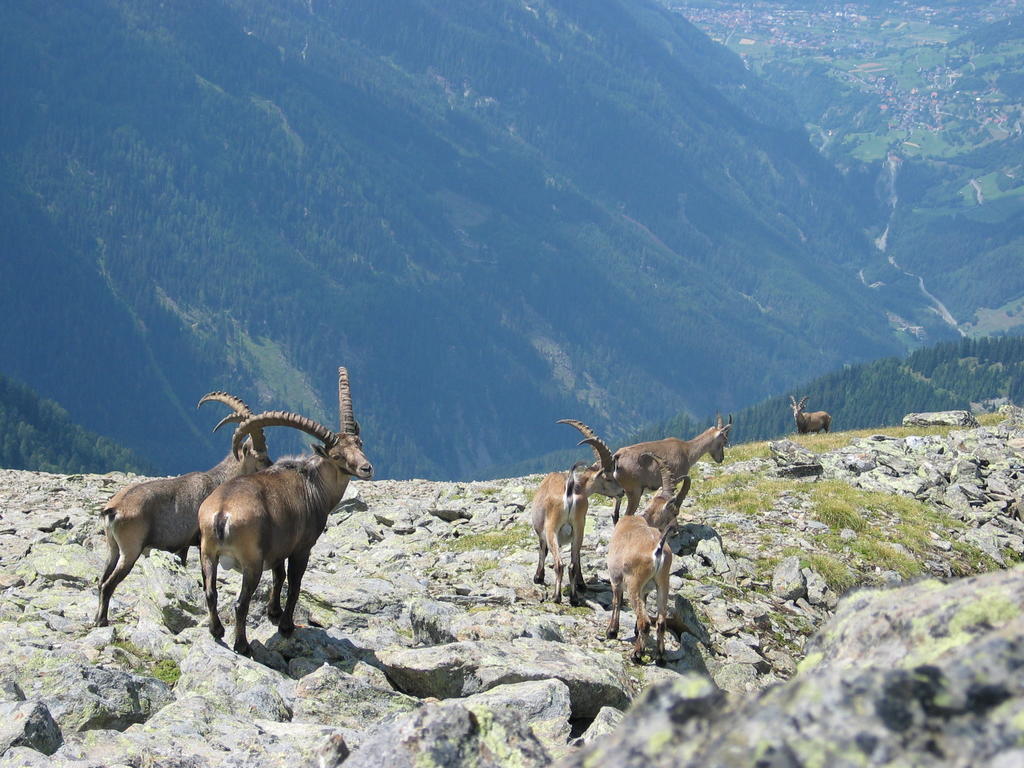 Apart Gletscherblick Kaunertal Exteriör bild